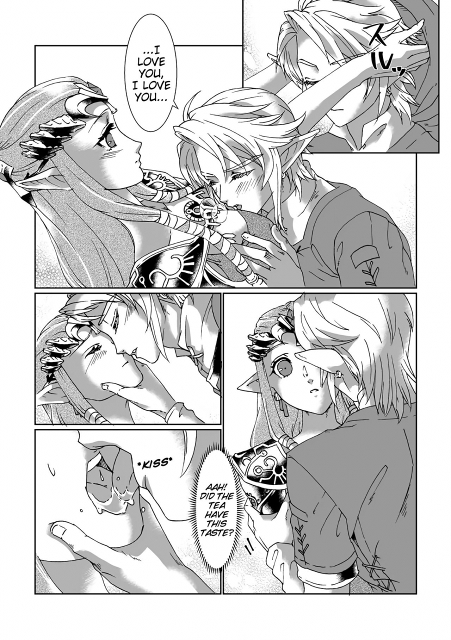 mylab-shiroa-urang-schedar-the-legend-of-zelda-english-digital