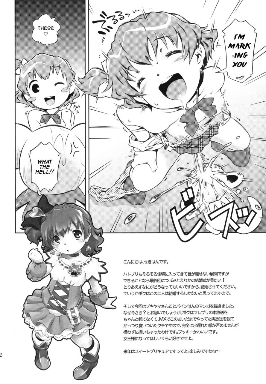 mayonnaise-bakufu-sekihan-go-go-bukiyama-san-mayo-chu-fresh-precure-english-digital