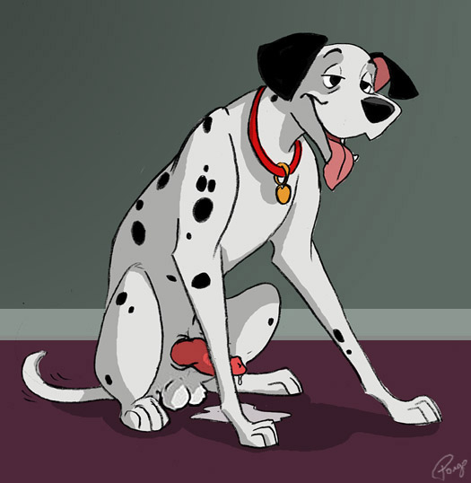 pongo
