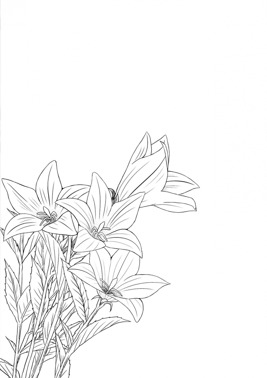 noraneko-no-tama-yukino-minato-hikari-no-kimi-no-saganaki-keikaku-akashi-english-hennojin-digital