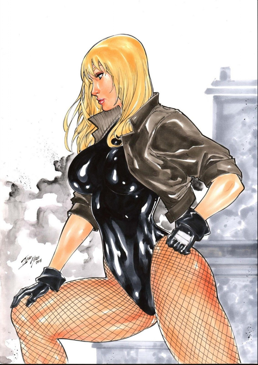 black-canarydinah-lance