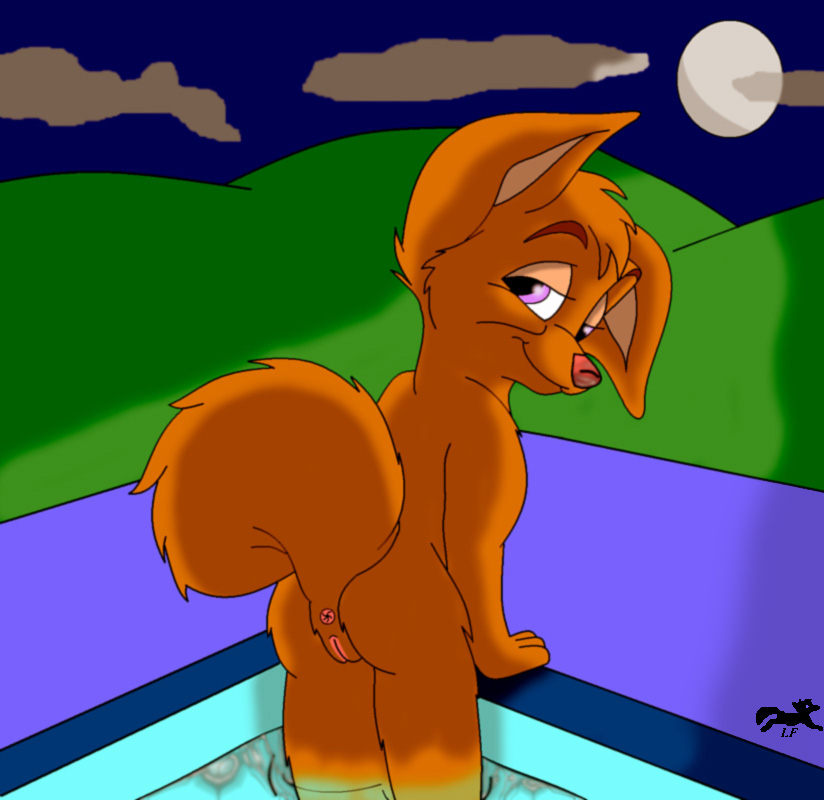 angel-lady-and-the-tramp