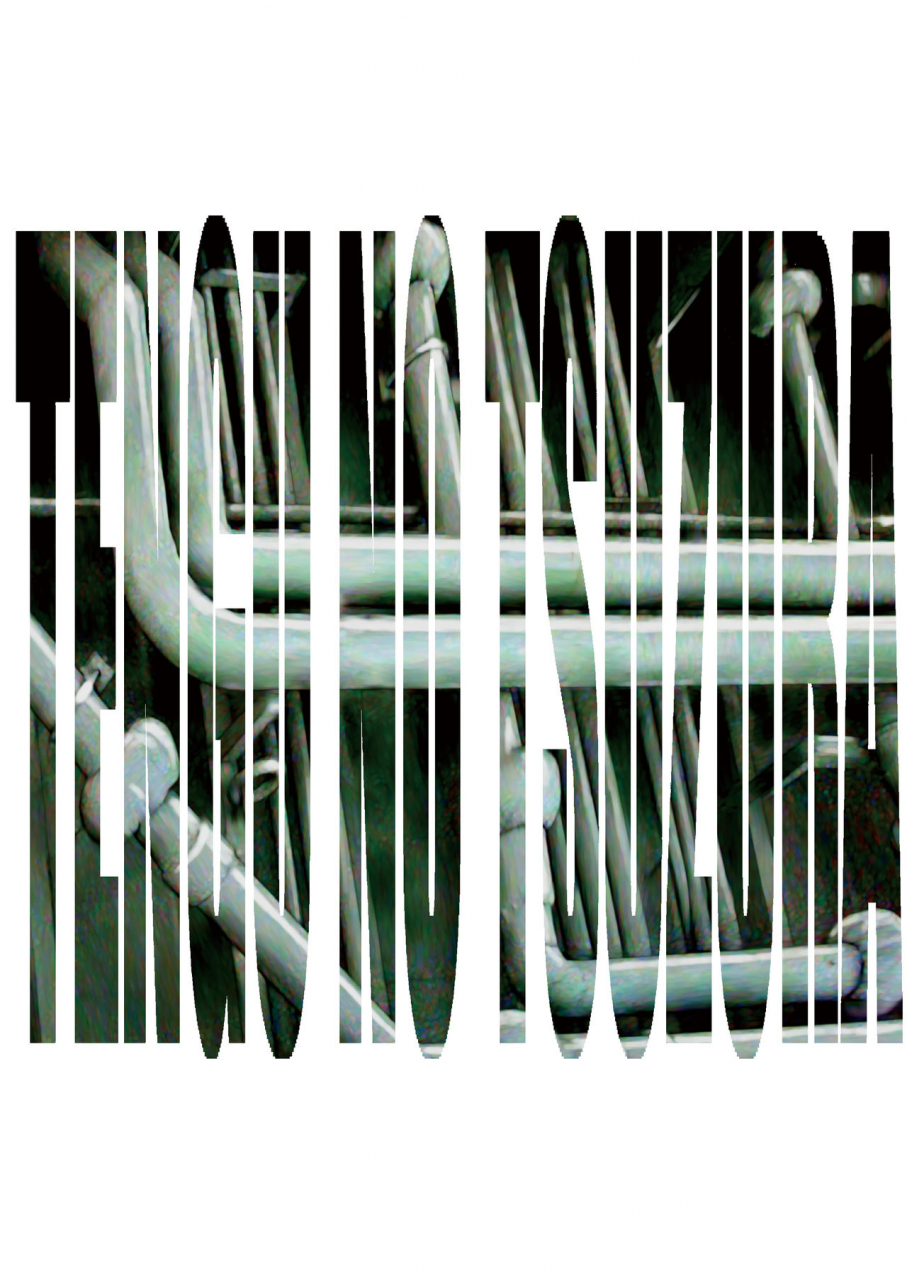 tengu-no-tsuzura-kuro-tengu-blue-leaf-neon-genesis-evangelion-english-digital