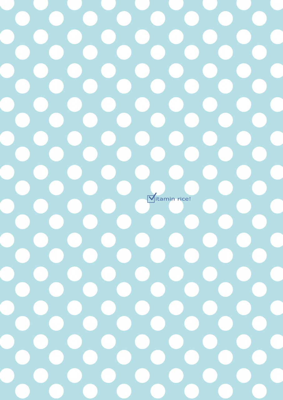 vitamin-gohan-hasegawa-keita-naisho-no-sakuya-san-touhou-project-english-desudesu-digital