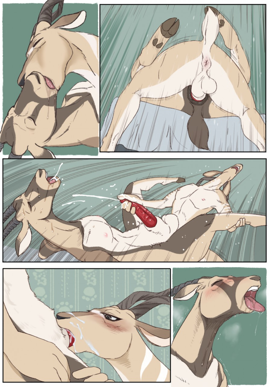 bucky-oryx-antlersonoryxpronk-oryx-antlerson