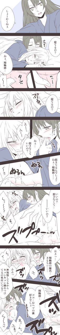 shoukaku-kantai-collectionzuikaku-kantai-collection