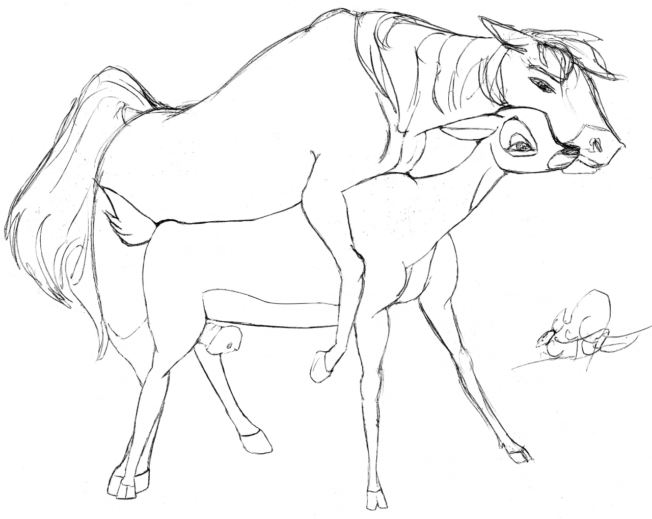 bambifalinespirit-cimarron