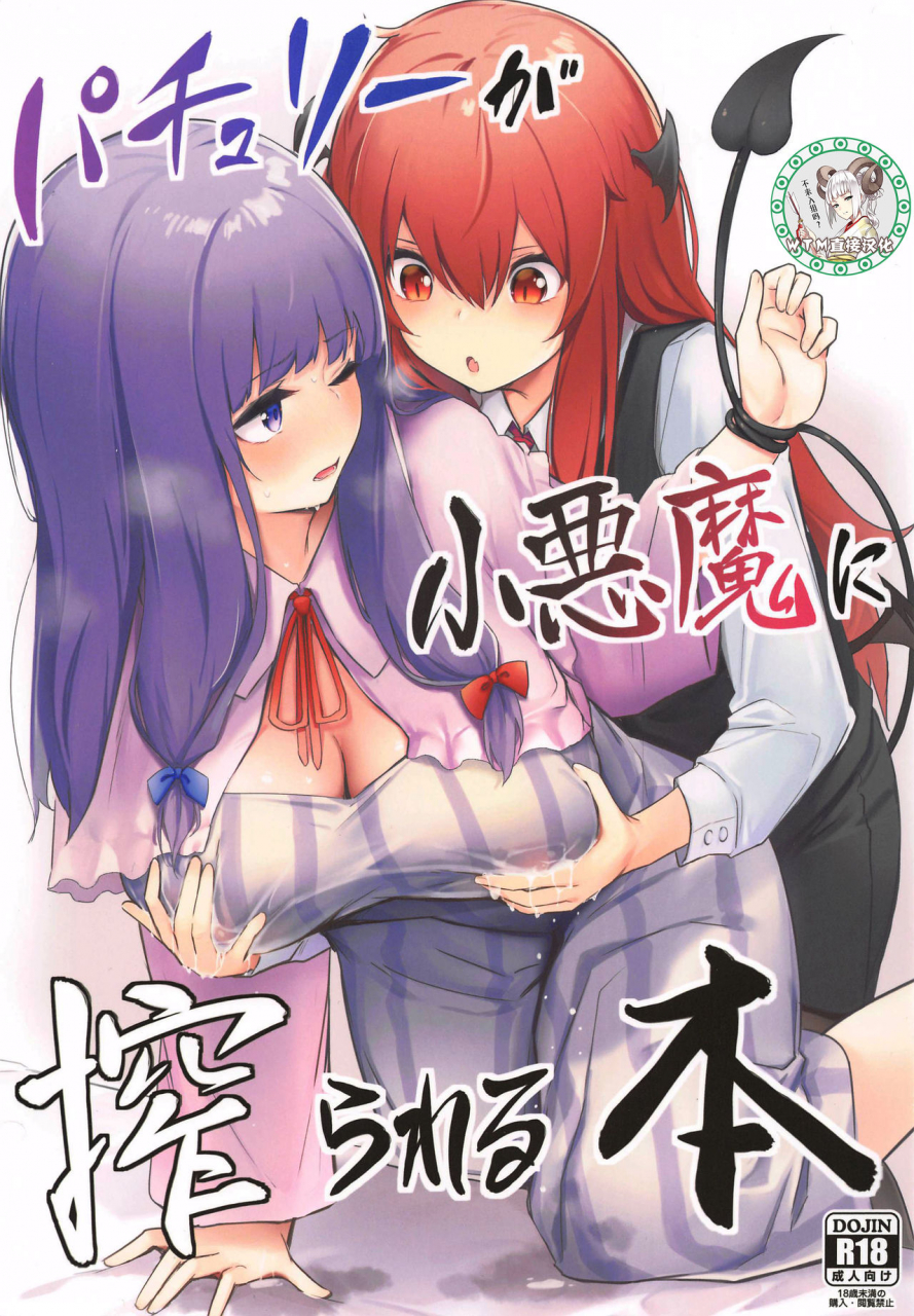 ac2-bochi-bochi-no-ki-borusiti-patchouli-ga-koakuma-ni-shiborareru-hon-touhou-project-chinese-wtm