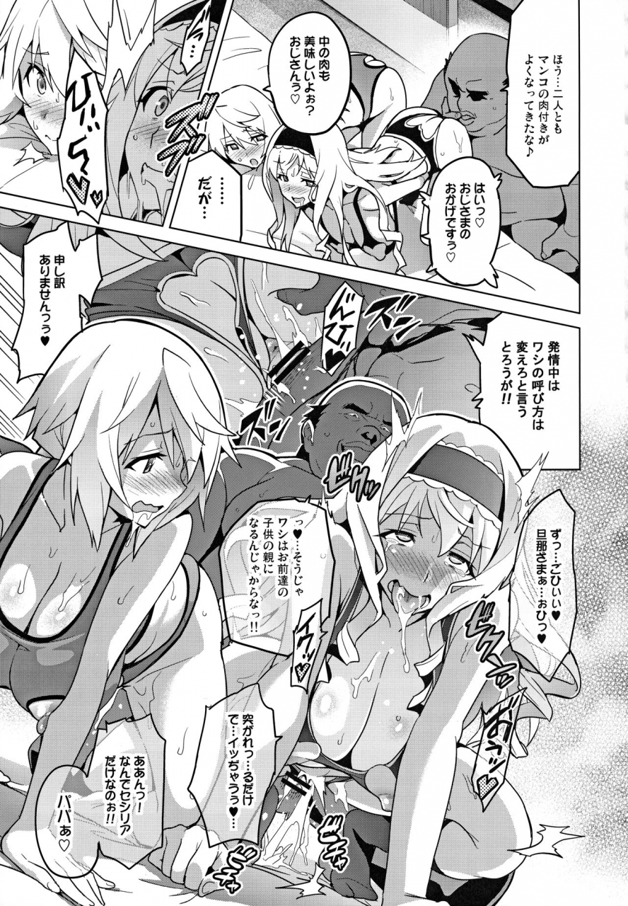 c84-shinjugai-takeda-hiromitsu-sutotama-is-infinite-stratos