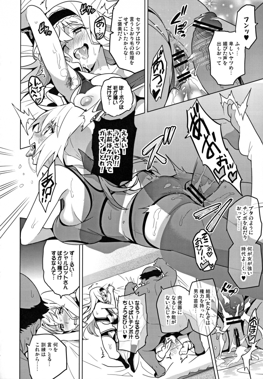 c84-shinjugai-takeda-hiromitsu-sutotama-is-infinite-stratos