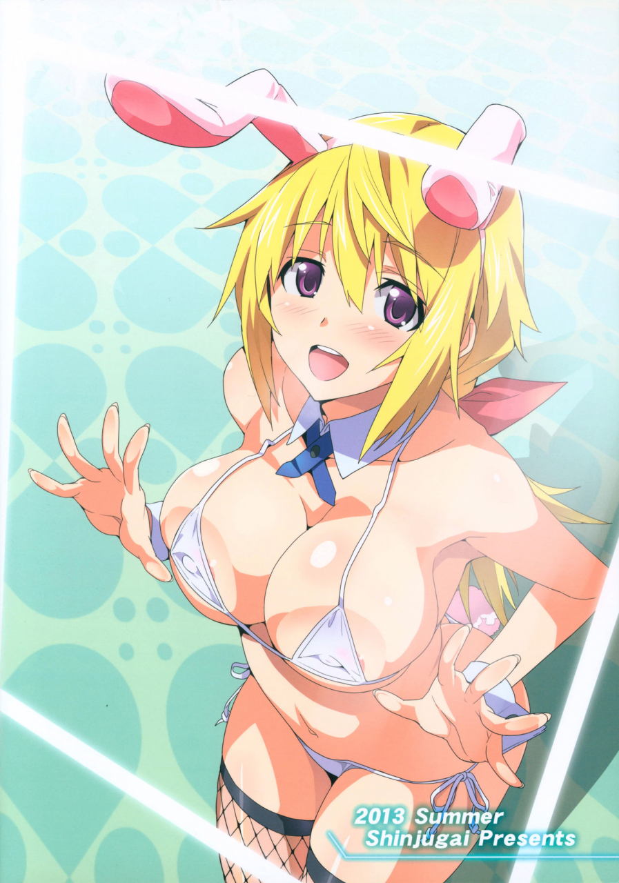 c84-shinjugai-takeda-hiromitsu-sutotama-is-infinite-stratos