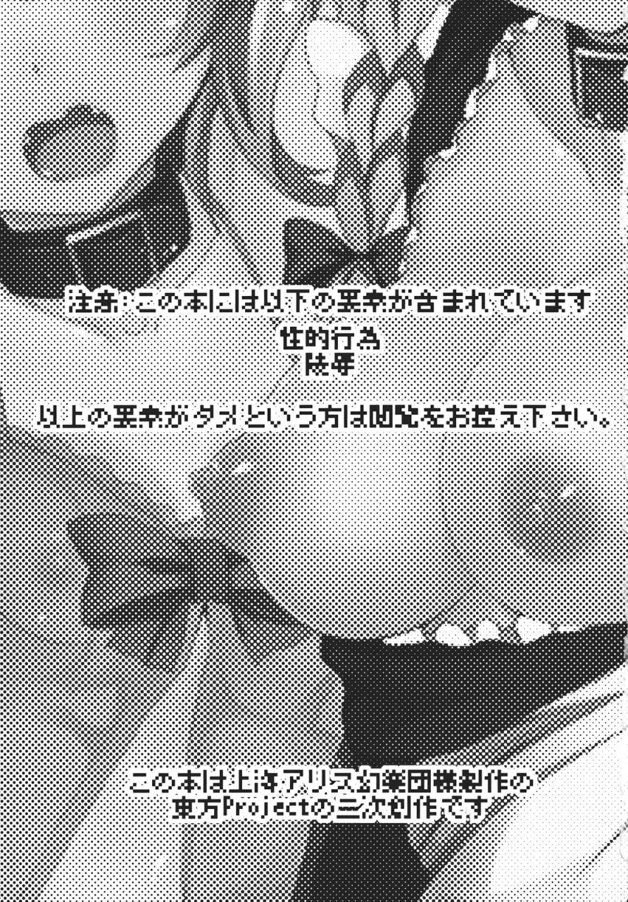 c81-inst-interstellar-shadows-in-bloom-touhou-project-chinese