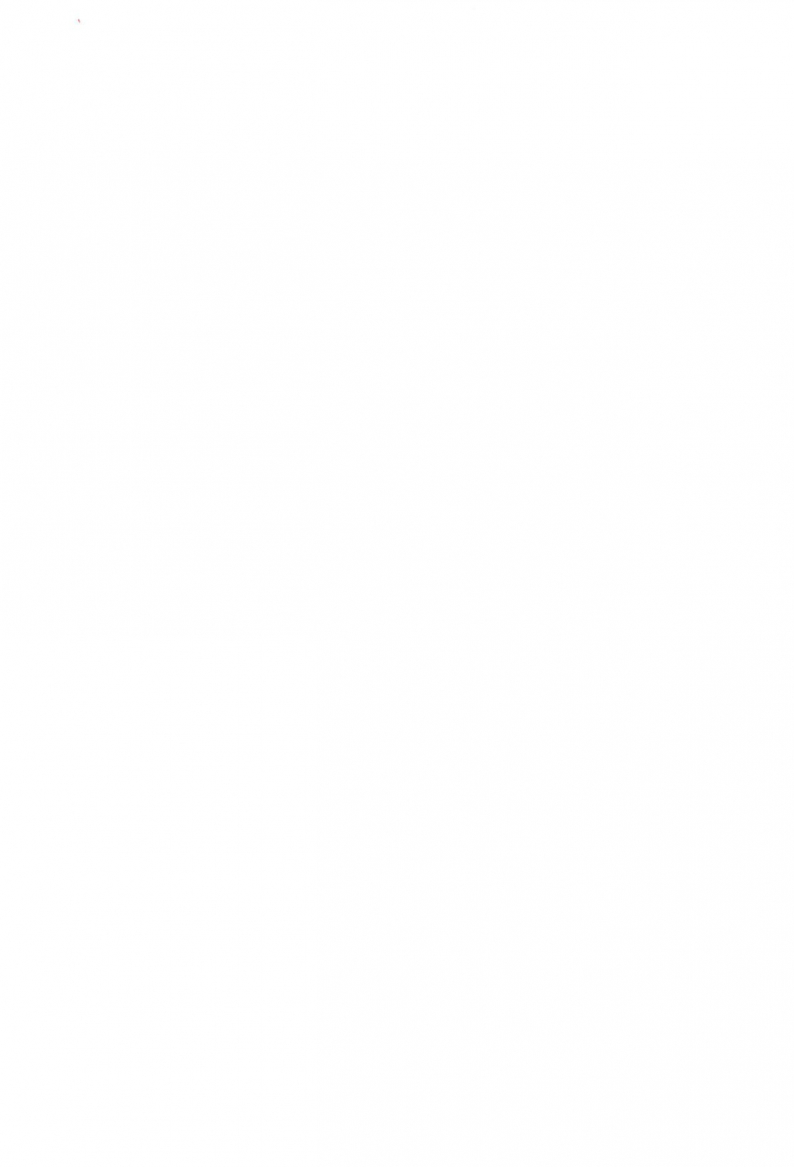 c95-tonzura-douchuu-kazawa-saimin-flan-hypnotised-flan-touhou-project-english