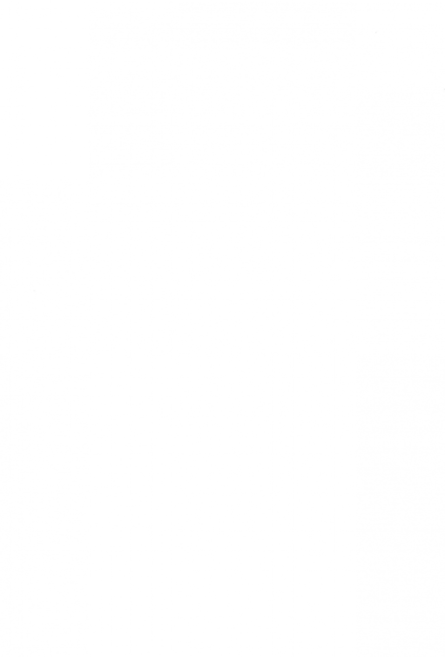 c95-tonzura-douchuu-kazawa-saimin-flan-hypnotised-flan-touhou-project-english