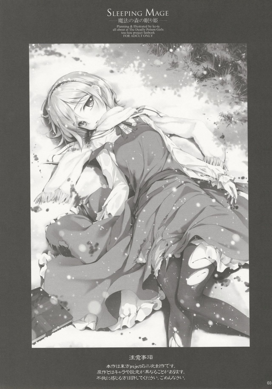 c81-gekidoku-shoujo-ke-ta-hyuuga-touma-nadare-sleeping-mage-mahou-no-mori-no-nemurihime-gekidoku-shoujo-publication-number-vii-touhou-project