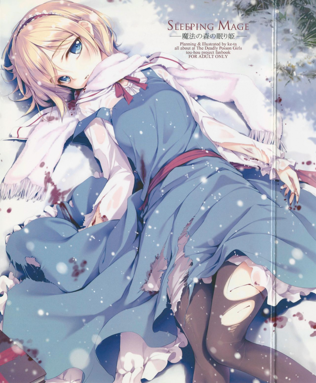 c81-gekidoku-shoujo-ke-ta-hyuuga-touma-nadare-sleeping-mage-mahou-no-mori-no-nemurihime-gekidoku-shoujo-publication-number-vii-touhou-project