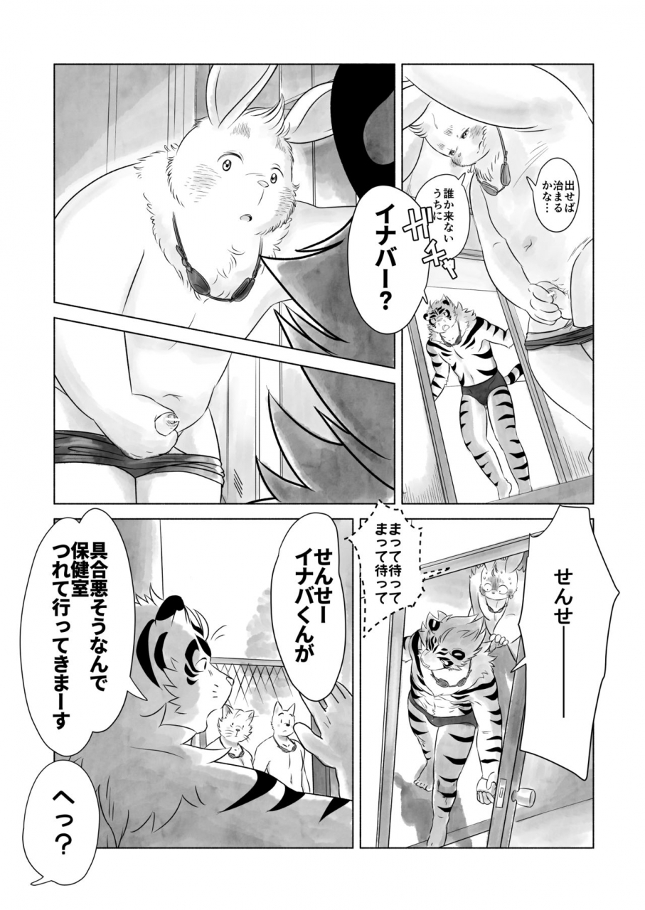 koda-kota-bunny-and-tiger-extras