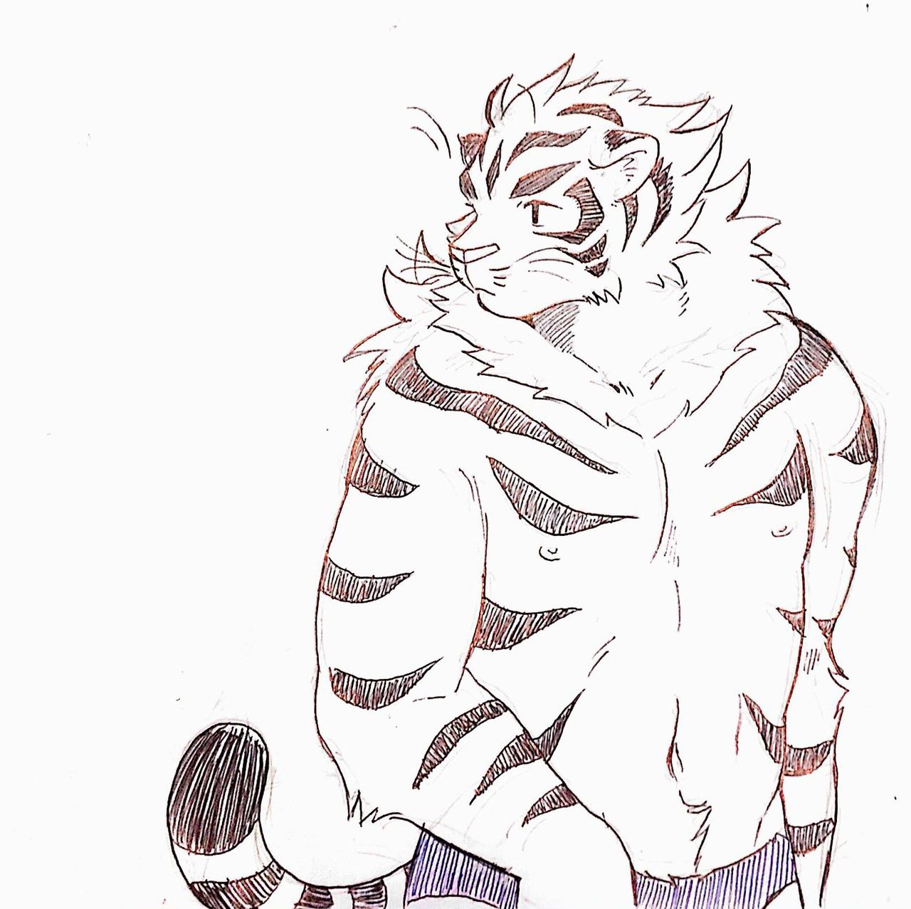 koda-kota-bunny-and-tiger-extras