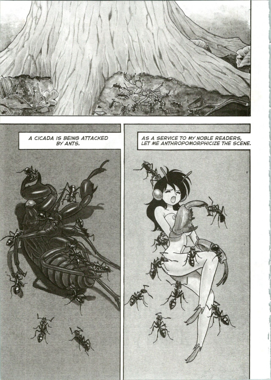 kondom-the-new-bondage-fairies-10