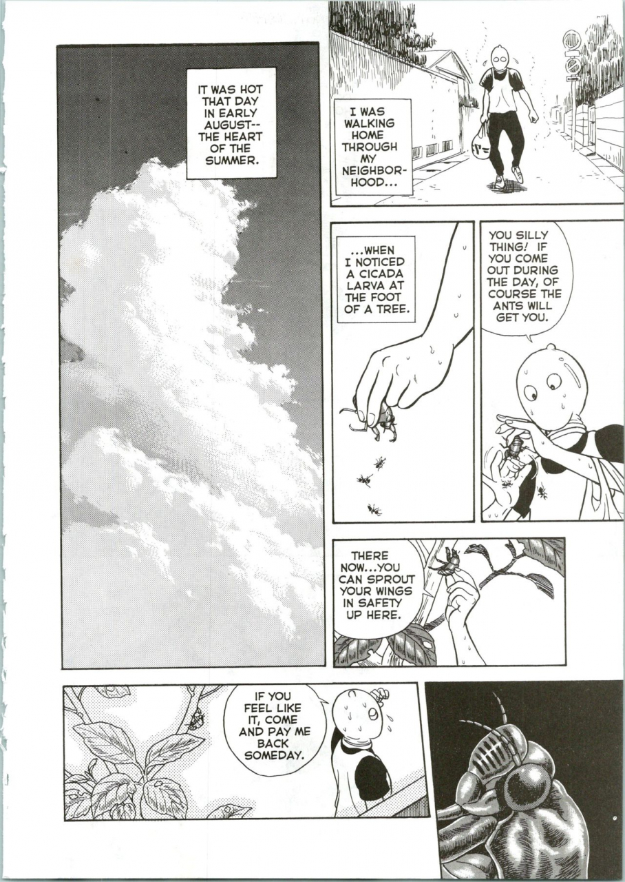 kondom-the-new-bondage-fairies-10