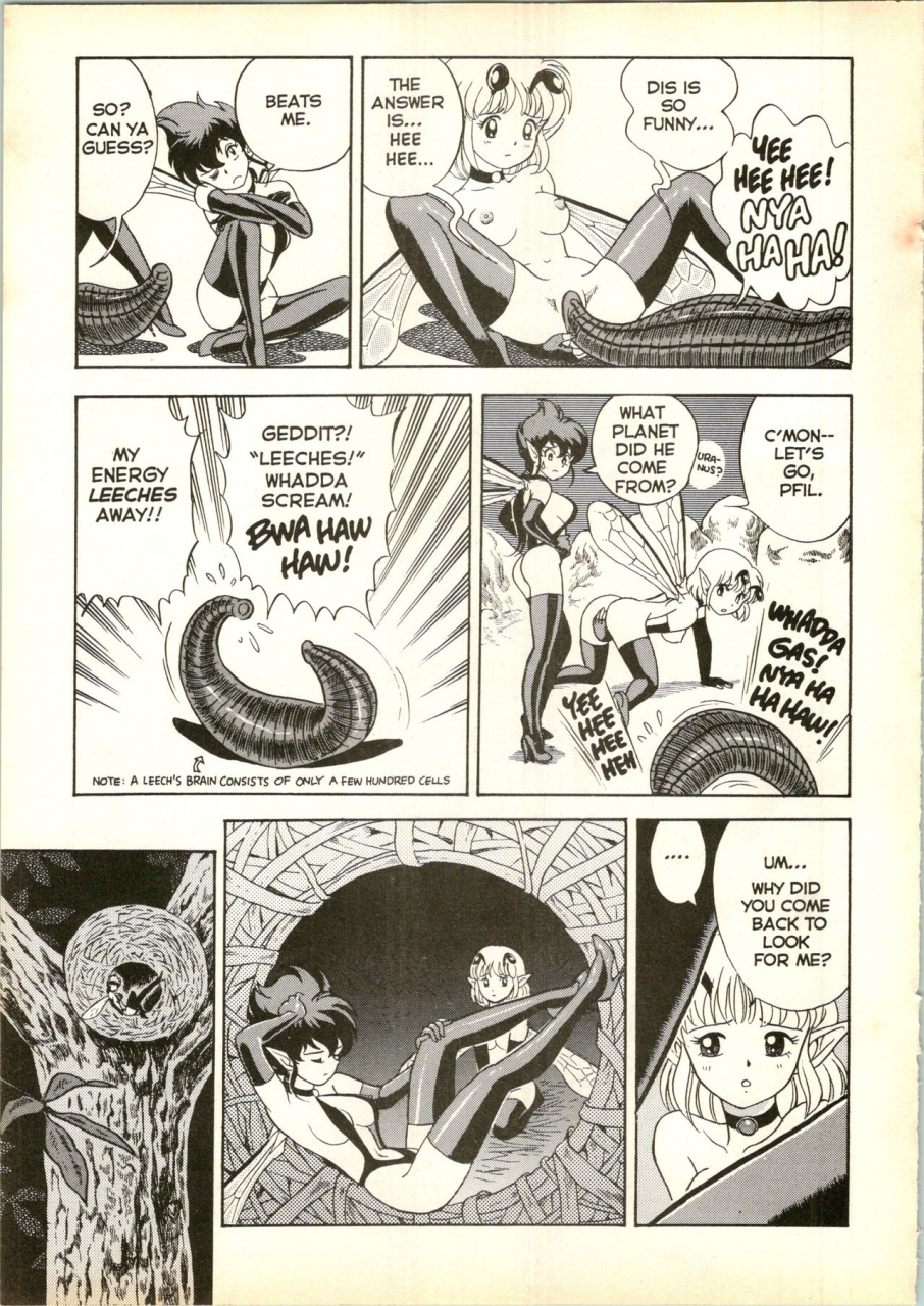 kondom-the-new-bondage-fairies-13