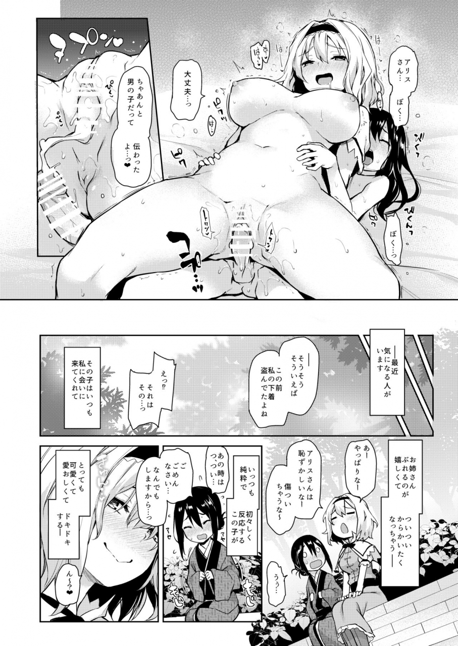 anmitsuyomogitei-michiking-anmitsu-touhou-history-vol3-touhou-project-digital