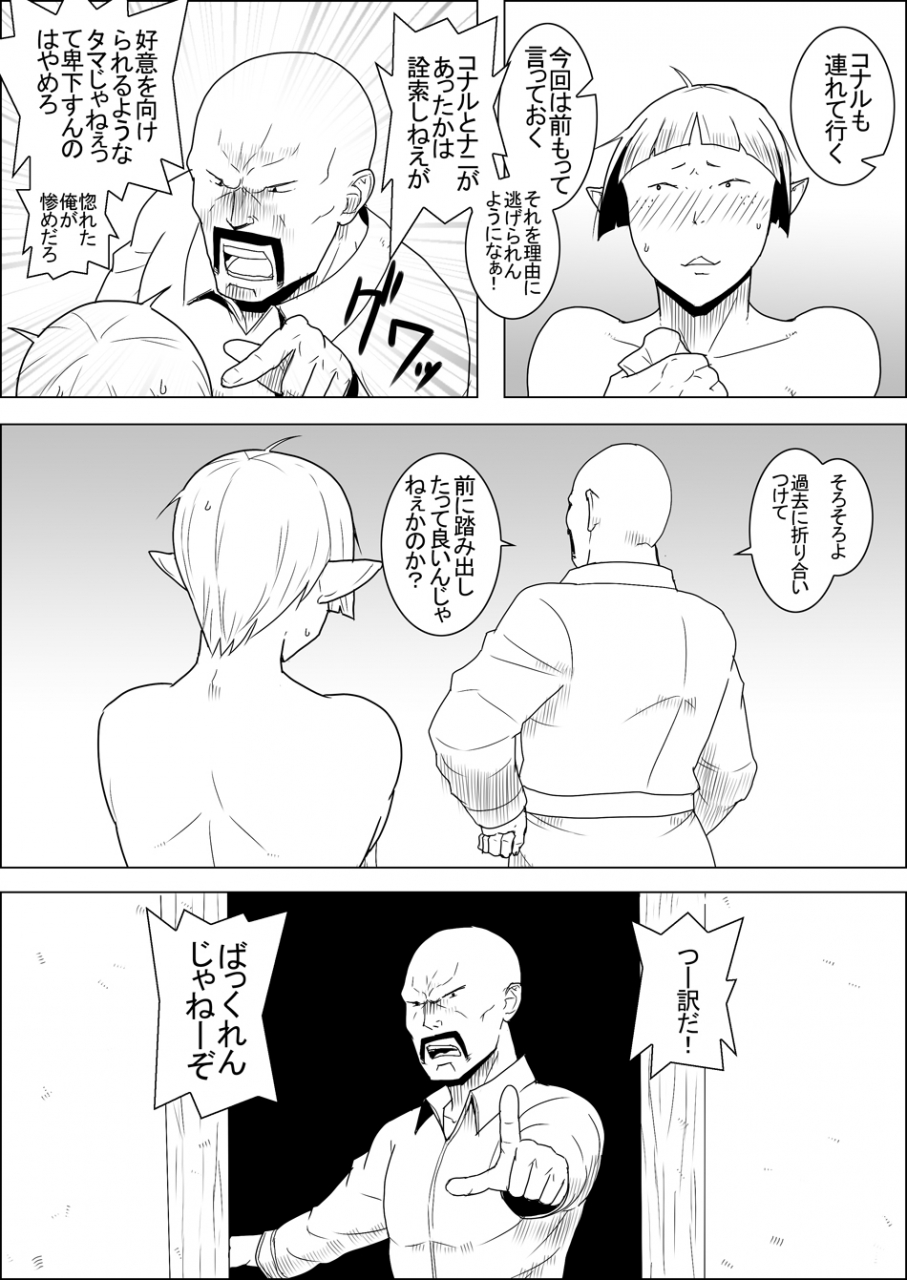 atelier-d-mada-daimei-no-nai-fantasy-jimi-na-elf-to-minarai-no-senshi-i-xiii-digital