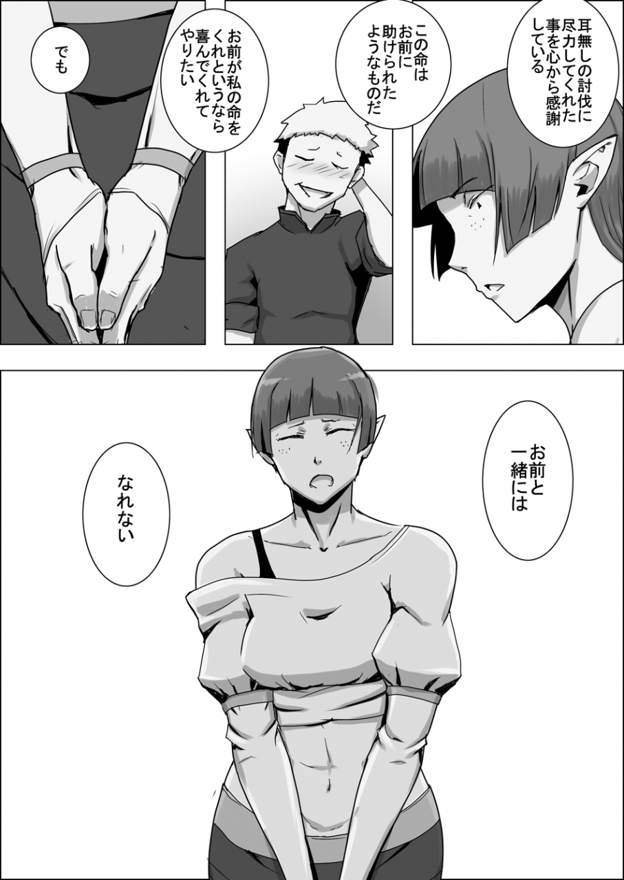 atelier-d-mada-daimei-no-nai-fantasy-jimi-na-elf-to-minarai-no-senshi-i-xiii-digital