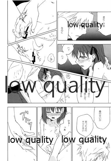 a-day-after-the-fair-fatezero