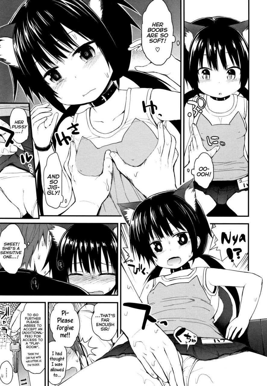 fujisaka-lyric-neko-cafe-de-asobou-cat-cafe-playhouse-chiisana-koukishin-english-mistvern