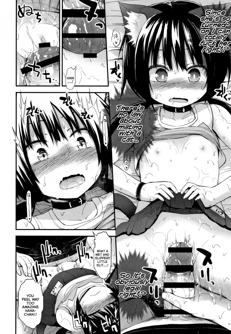 fujisaka-lyric-neko-cafe-de-asobou-cat-cafe-playhouse-chiisana-koukishin-english-mistvern