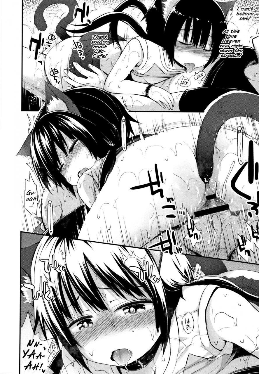 fujisaka-lyric-neko-cafe-de-asobou-cat-cafe-playhouse-chiisana-koukishin-english-mistvern