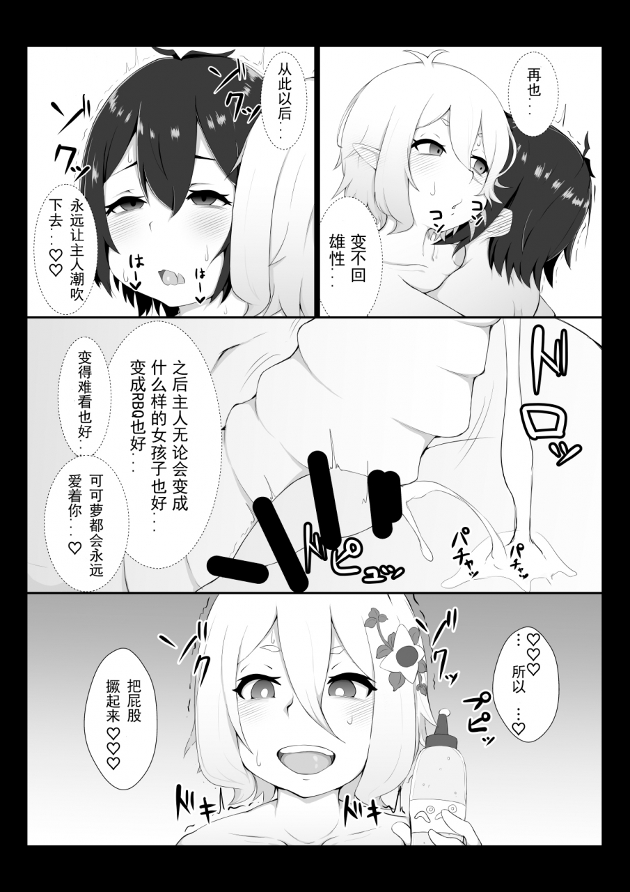 hiroshimapons-hiropons-kokkoro-ni-kaihatsu-sareru-hon-princess-connect-redive-chinese-digital