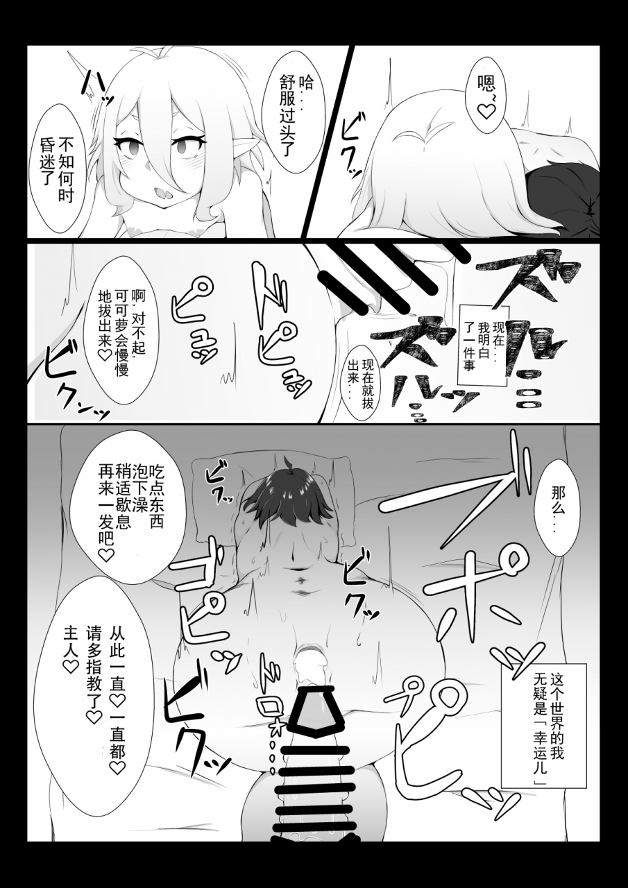 hiroshimapons-hiropons-kokkoro-ni-kaihatsu-sareru-hon-princess-connect-redive-chinese-digital