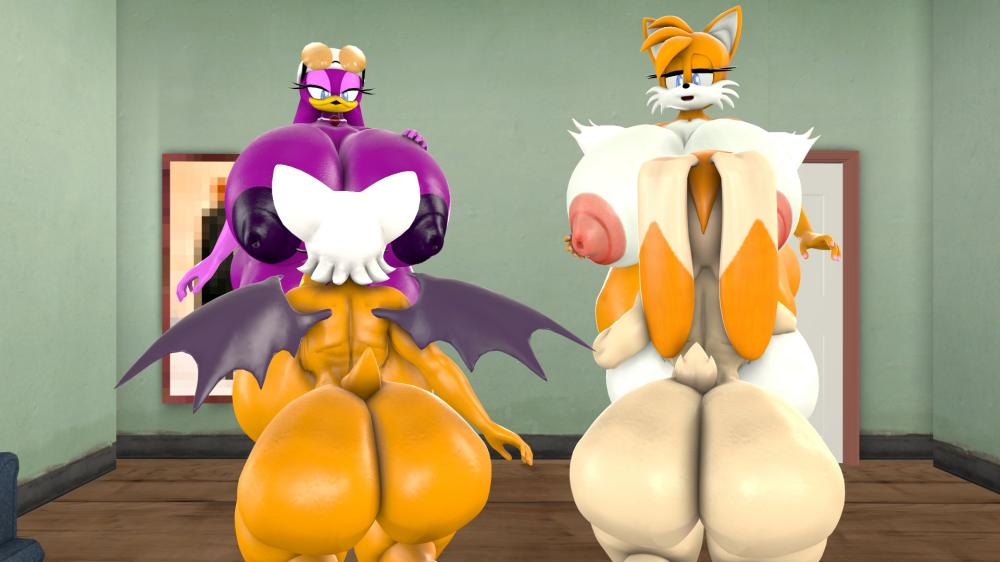 miles-tails-prowerrouge-the-batvanilla-the-rabbitwave-the-swallow