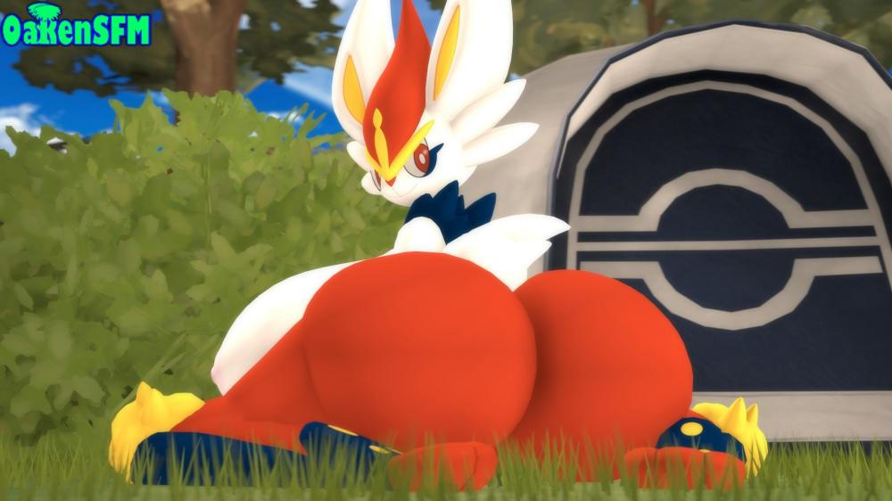 cinderacepokmon-species