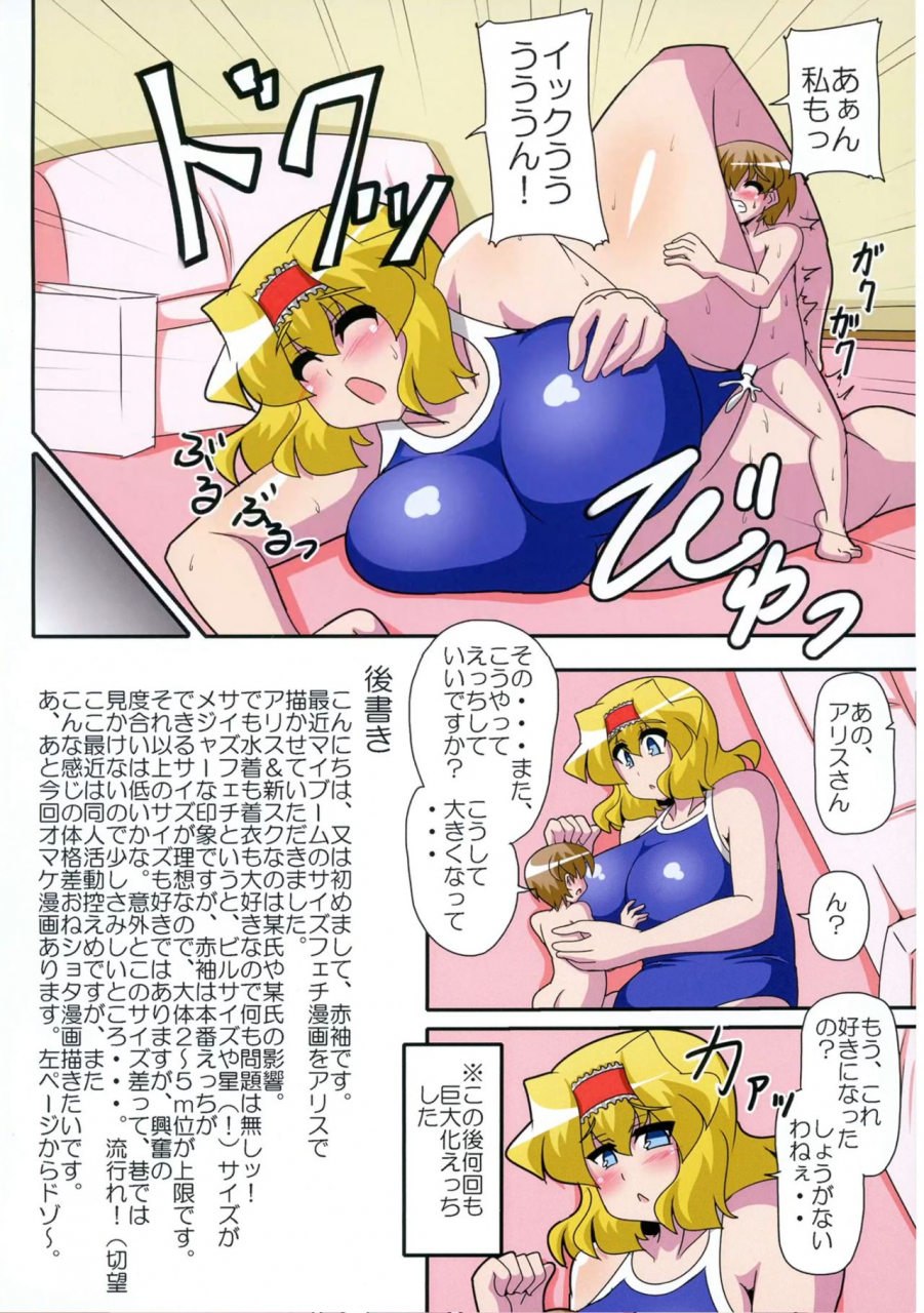 mousouzoku-no-soukutsu-akasode-alice-hitori-o-taishou-to-suru-turn-shuuryouji-made-sore-wa-3m3m-no-shuusei-o-ukeru-touhou-project-digital