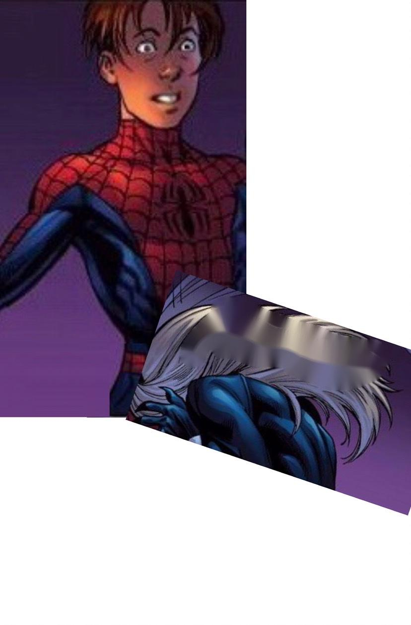 black-cat-marvelfelicg-hardypes-parkerspideg-manultimate-black-cat