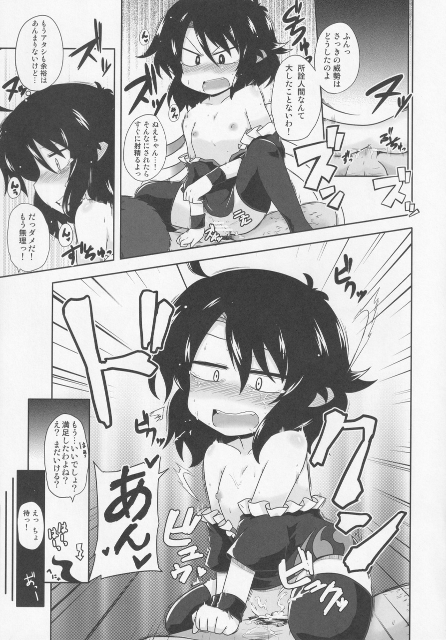 nigawarai-yashiki-various-nueh-kei-kyouiku-touhou-project