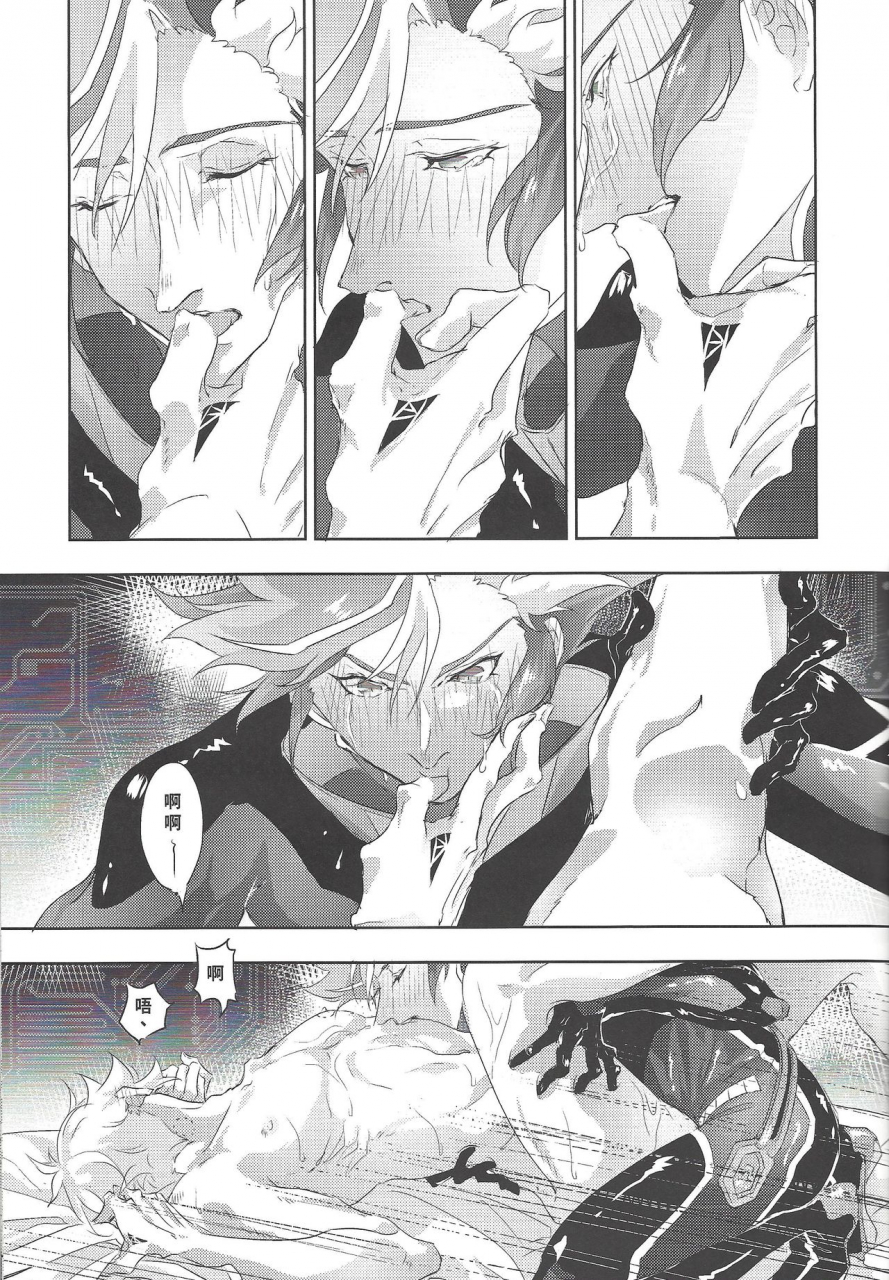 section-staining-error-yu-gi-oh-vrains-chinese