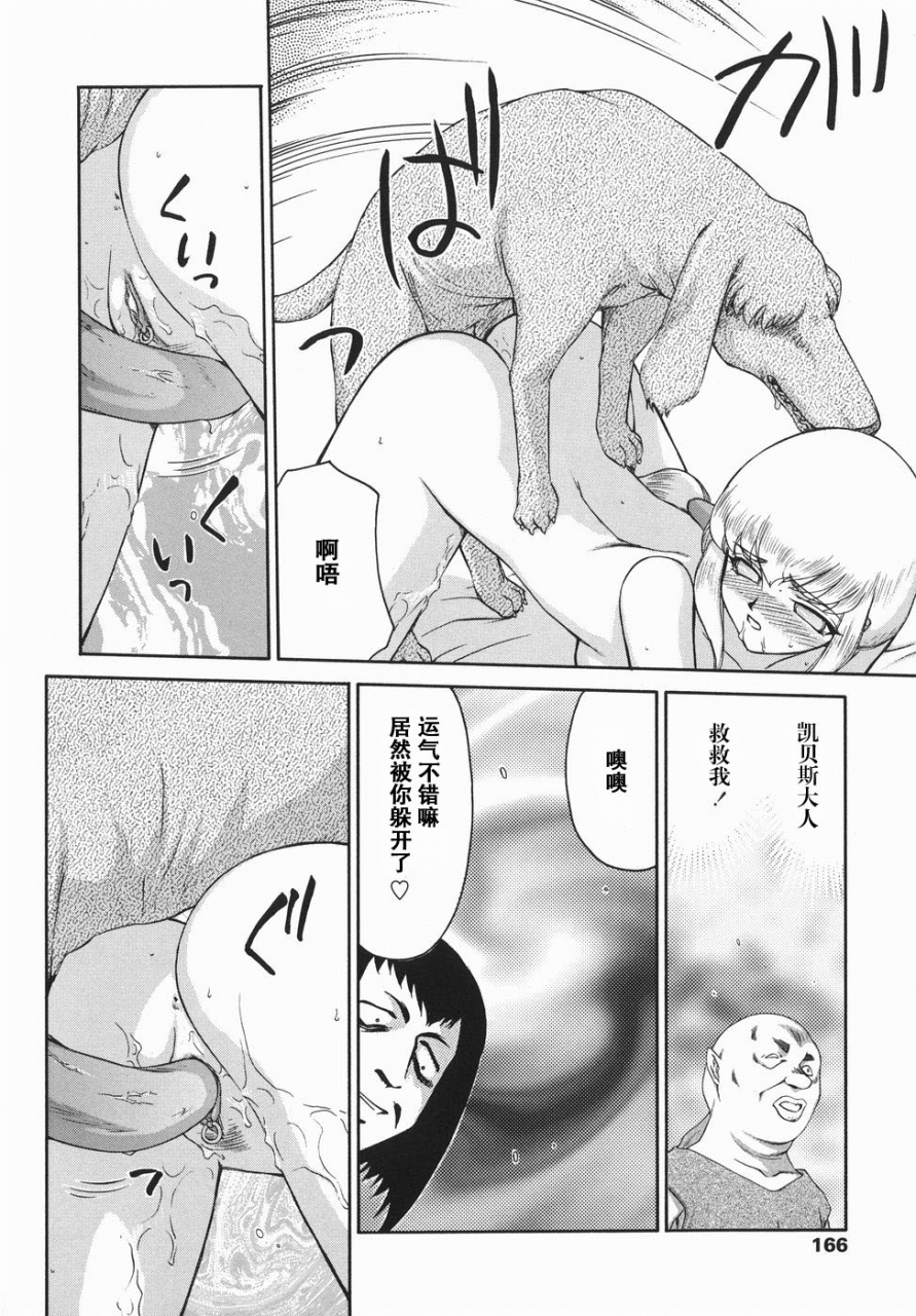 taira-hajime-kamen-no-kishi-orleana-kouhen-chinese