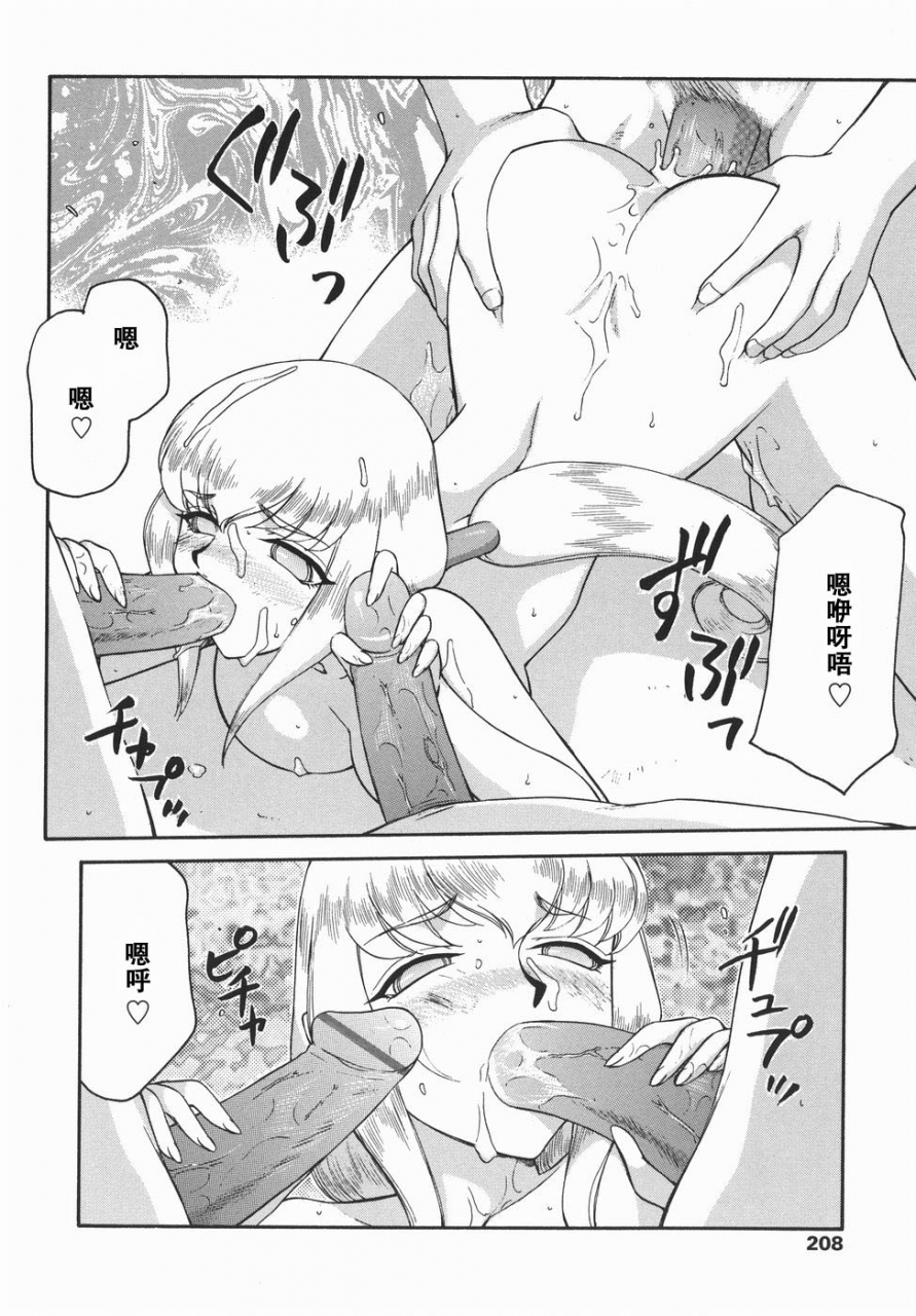 taira-hajime-kamen-no-kishi-orleana-kouhen-chinese