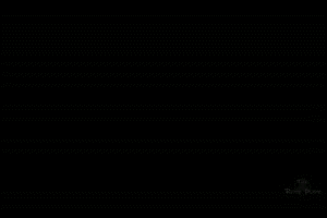 lara-crofttifa-lockhart