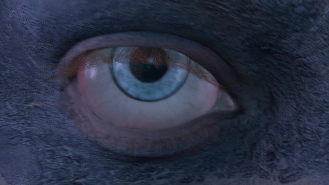 rated lsenua1a5c48dd388cf1ea22d74bdb5f3cfc66