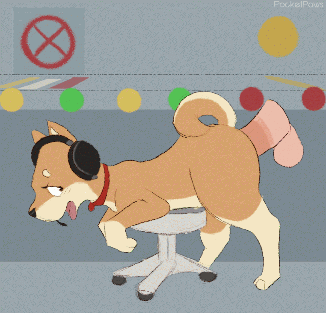 pocketpawsspitzc05e0f9d5b8bf54546bfeec0e4244762