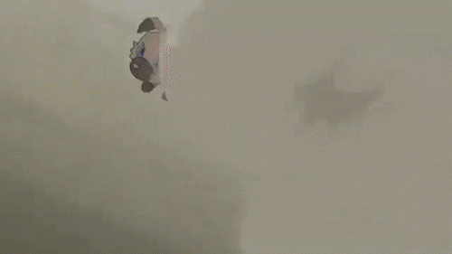 mareanie+rockruff0c095bc7d8c4a6539a2b9e80da768d8e