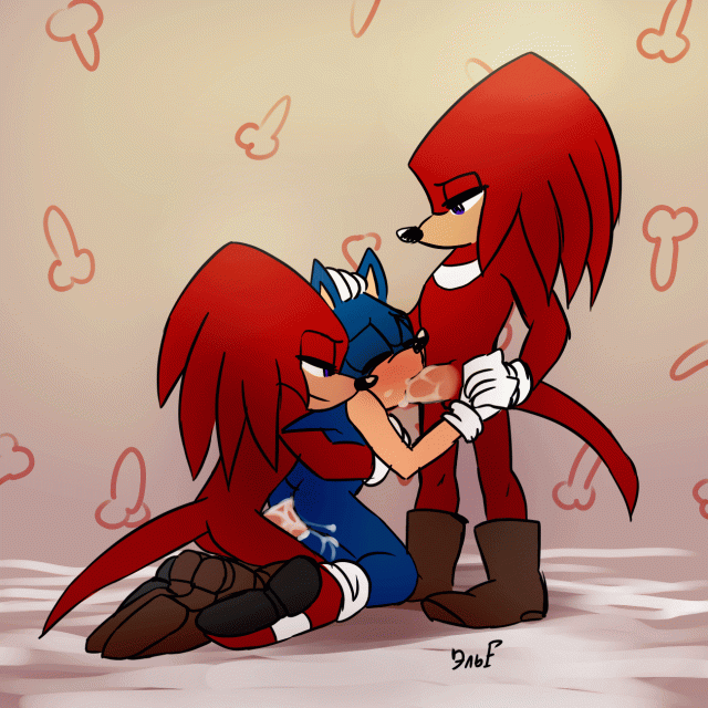 krazyelfknuckles the echidna+sonic the hedgehog5d61ff2c5dd8eb37ce0499d27043ba1a
