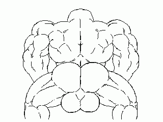 dirty-canvasUnknown4ce6fcb1d40256c84510fc546dee70ee