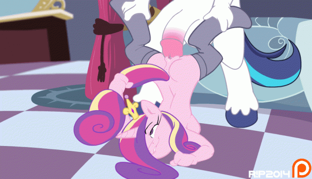 r!pprincess cadance (mlp)+shining armor (mlp)a1a47a9739c23a73fce867d6dbe0e706