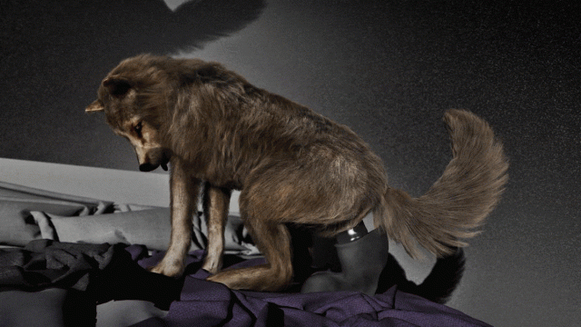 trioami260Unknowna51094d2c9dab03776bd73c772ac9380